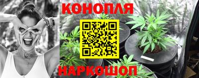 гидра Будённовск