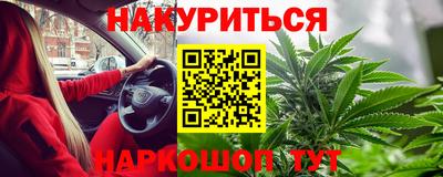 гидра Будённовск