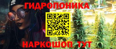 гидра Будённовск