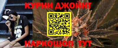 гидра Будённовск