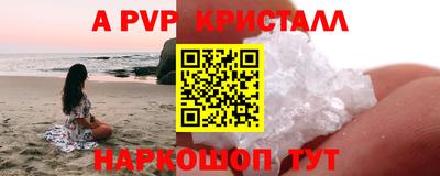 гидра Будённовск