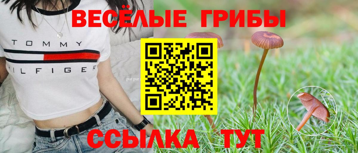 Галлюциногенные грибы Psilocybe  Вход с VPN  Петропавловск-Камчатский  Псилоцибиновые грибы Psilocybine cubensis 